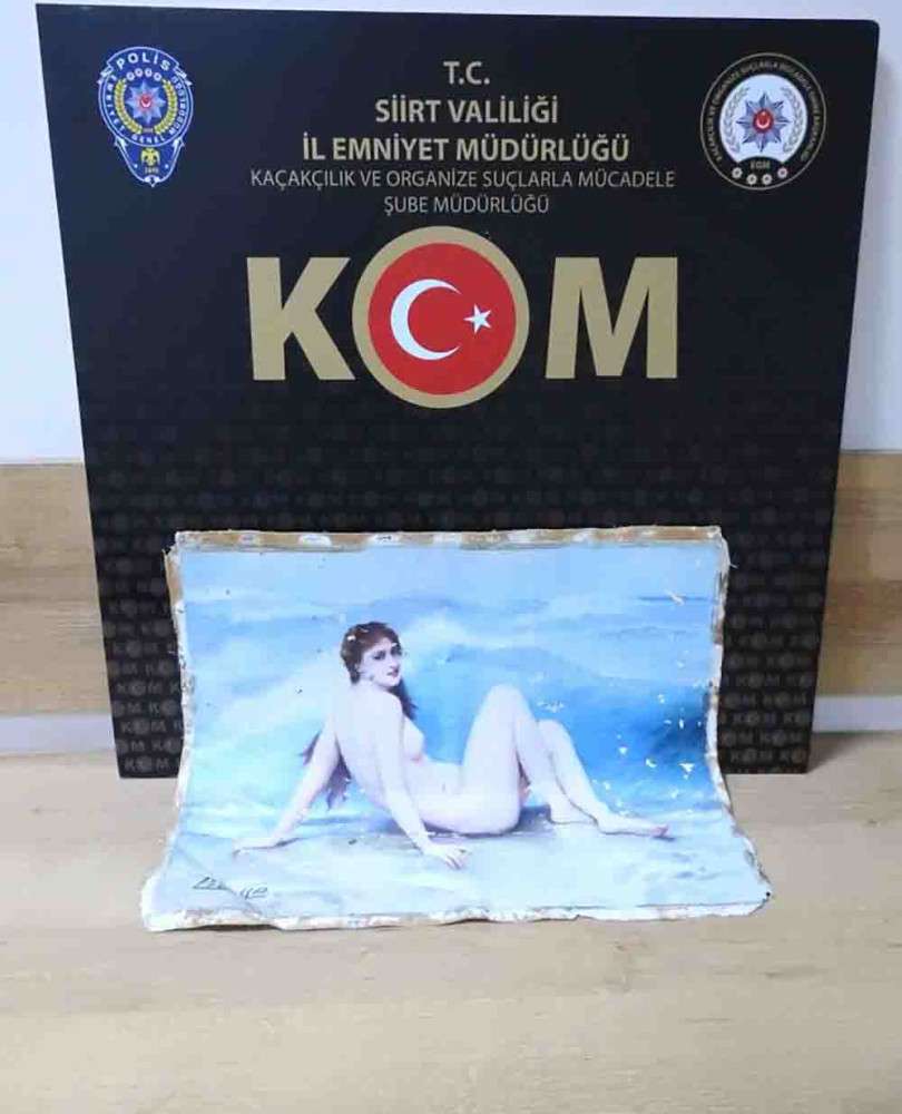 Siirt İl Emniyet Müdürlüğü Picasso ya ait olduğu düşünülen tabloya el konuldu 