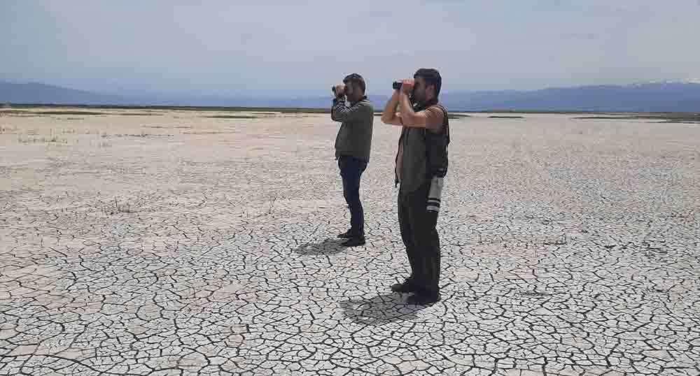 Sultan Sazlığı ve Aladağlar Milli Parkı'nda 139 kuş türü sayıldı