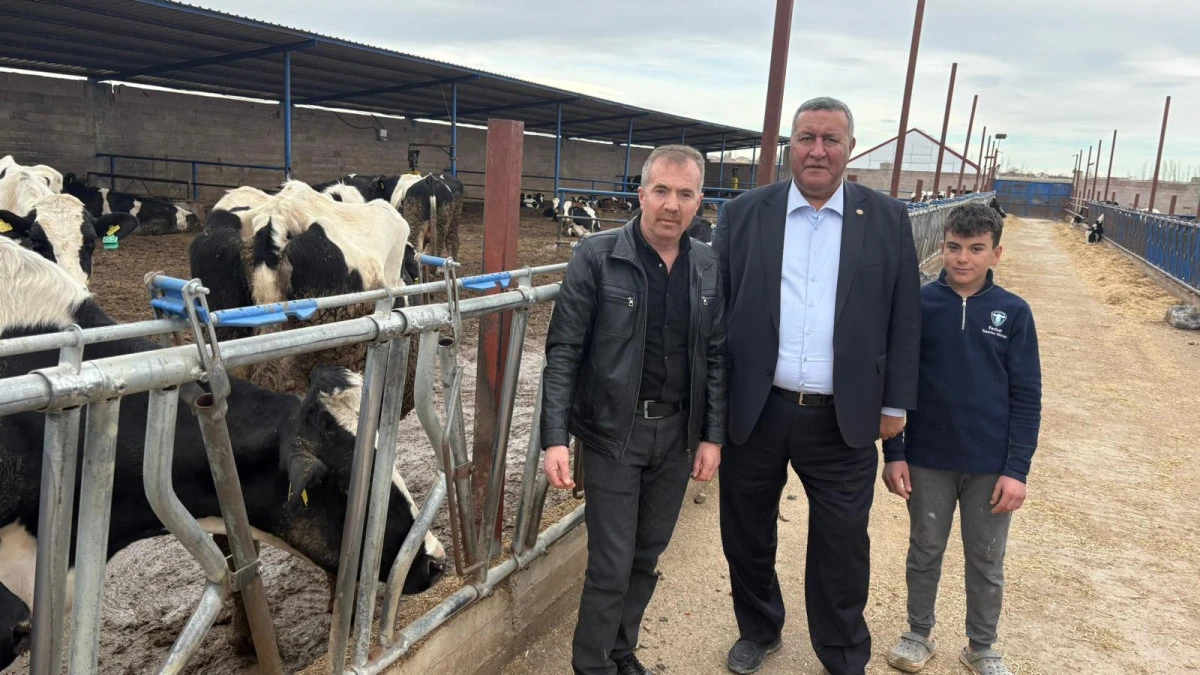 S&uuml;t &Uuml;reticisi &Ccedil;ıkmazda: Artan Yem Fiyatları ve Şap Salgını Besiciyi İsyana S&uuml;r&uuml;kledi