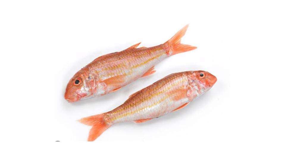 Tekir balığı en güzel nasıl pişirilir?	