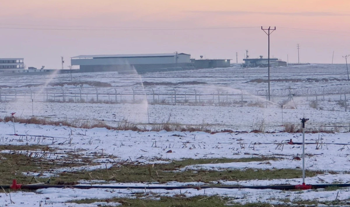 Yağmur, kar dinlemediler: Ka&ccedil;ak trafoyla sulama