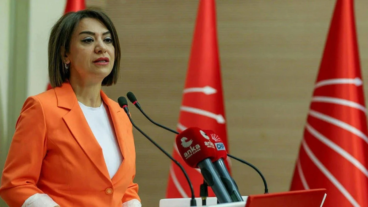 Yeni Parti Milletvekili Gamze Taşcıer, Sosyal Yardımlara Duyulan İhtiyacın Neden B&uuml;y&uuml;d&uuml;ğ&uuml;n&uuml; Tartışmak Gerekiyor